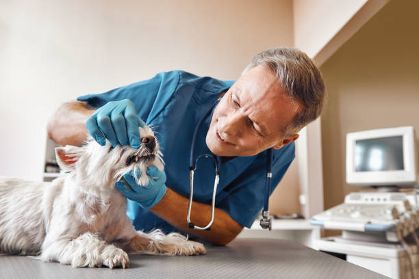 Best Emergency Root Canal Treatment in Dellwood, MO